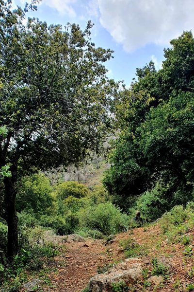 אל רמת הנדיב 10